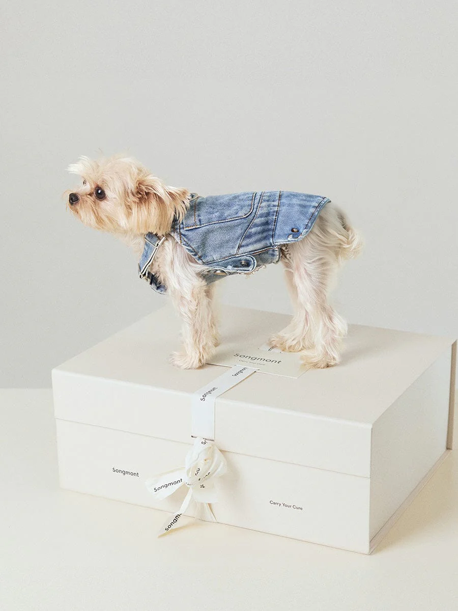 1136-small-luna-pet-leash-box-2.webp Small Luna & Pet Leash Box