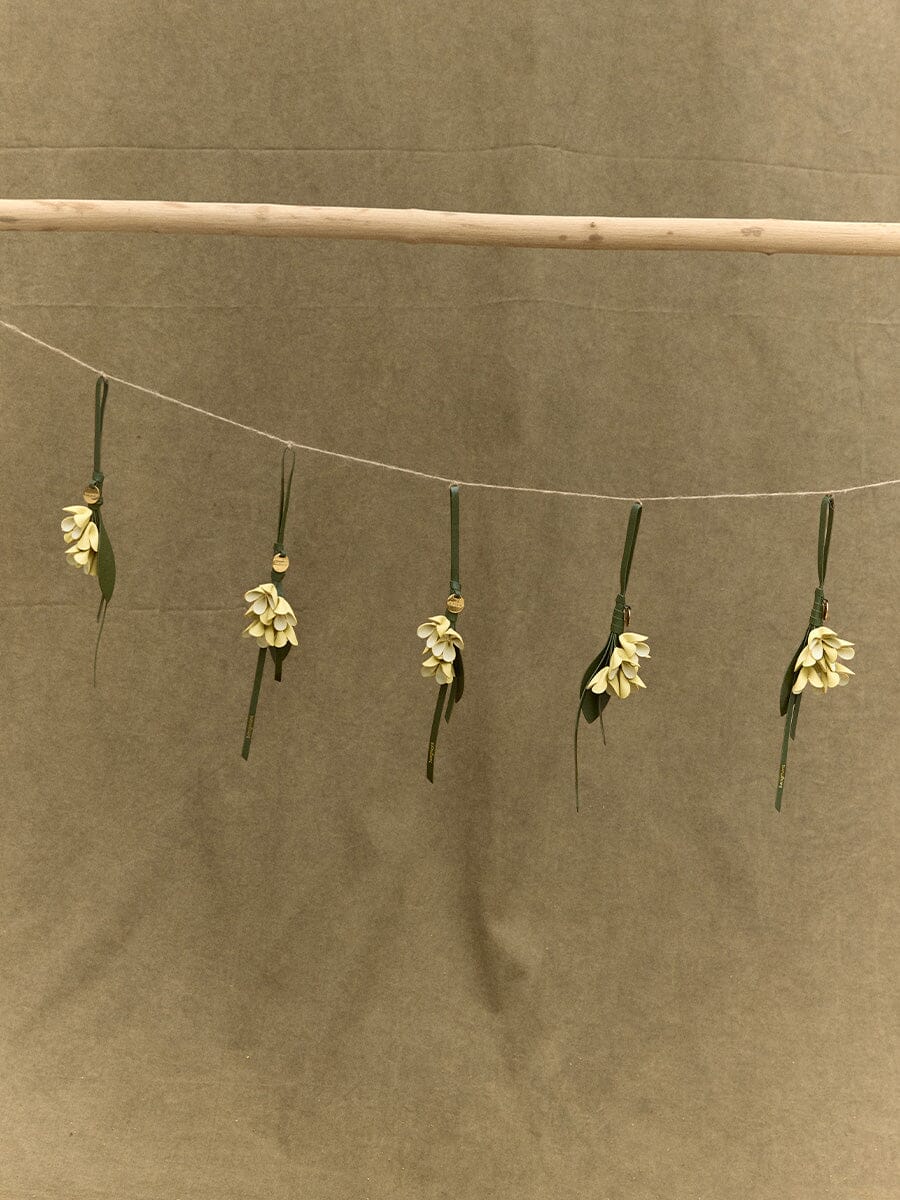 Osmanthus Charm